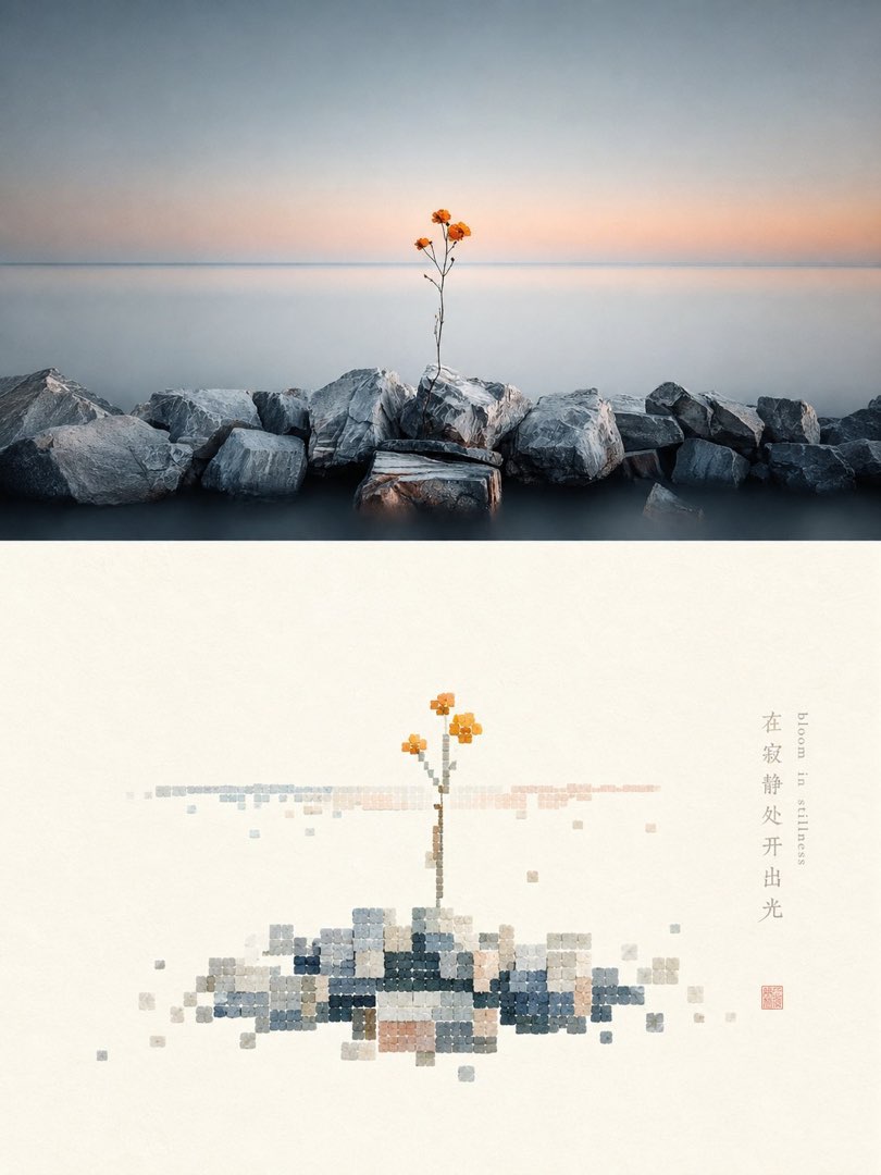 海边礁石与橙色野花照片，下半为贝壳材质像素重构，配字